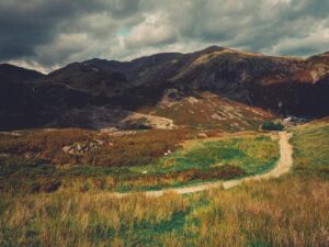 path leading across meadow to mountains